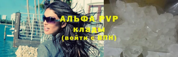 сатива Касимов